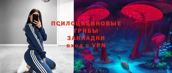 шишки Аркадак