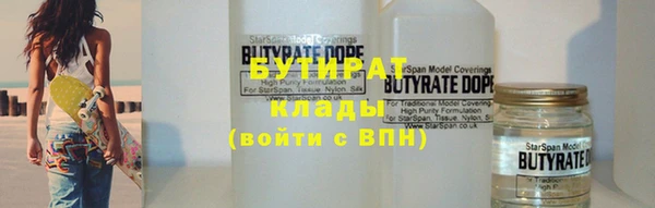 шишки Аркадак