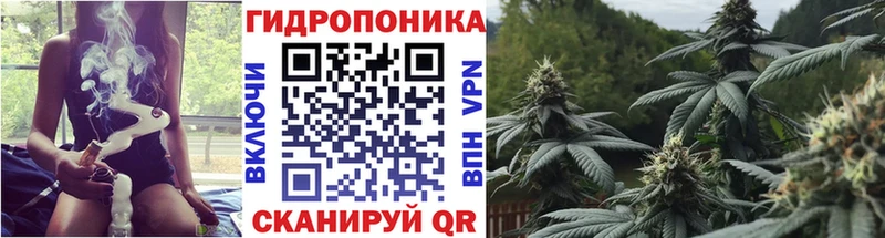 Бошки марихуана Bruce Banner  Тавда 